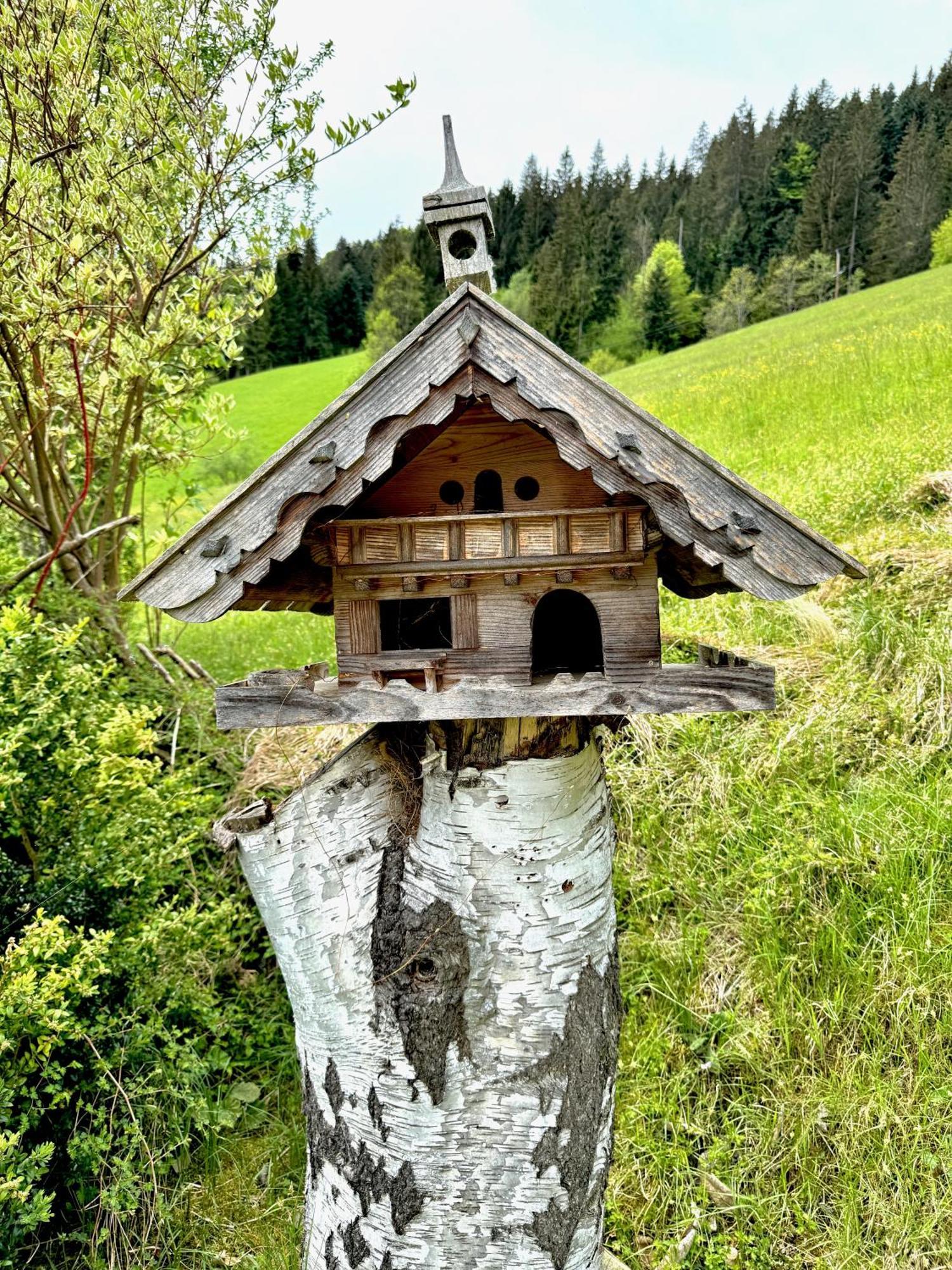 5* Panorama Chalet Mit Sauna By Belle Stay Going am Wilden Kaiser Eksteriør billede